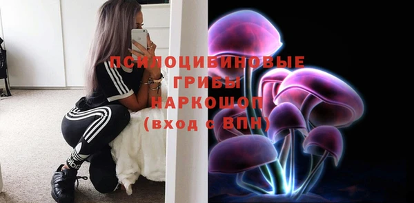 тгк Верхний Тагил
